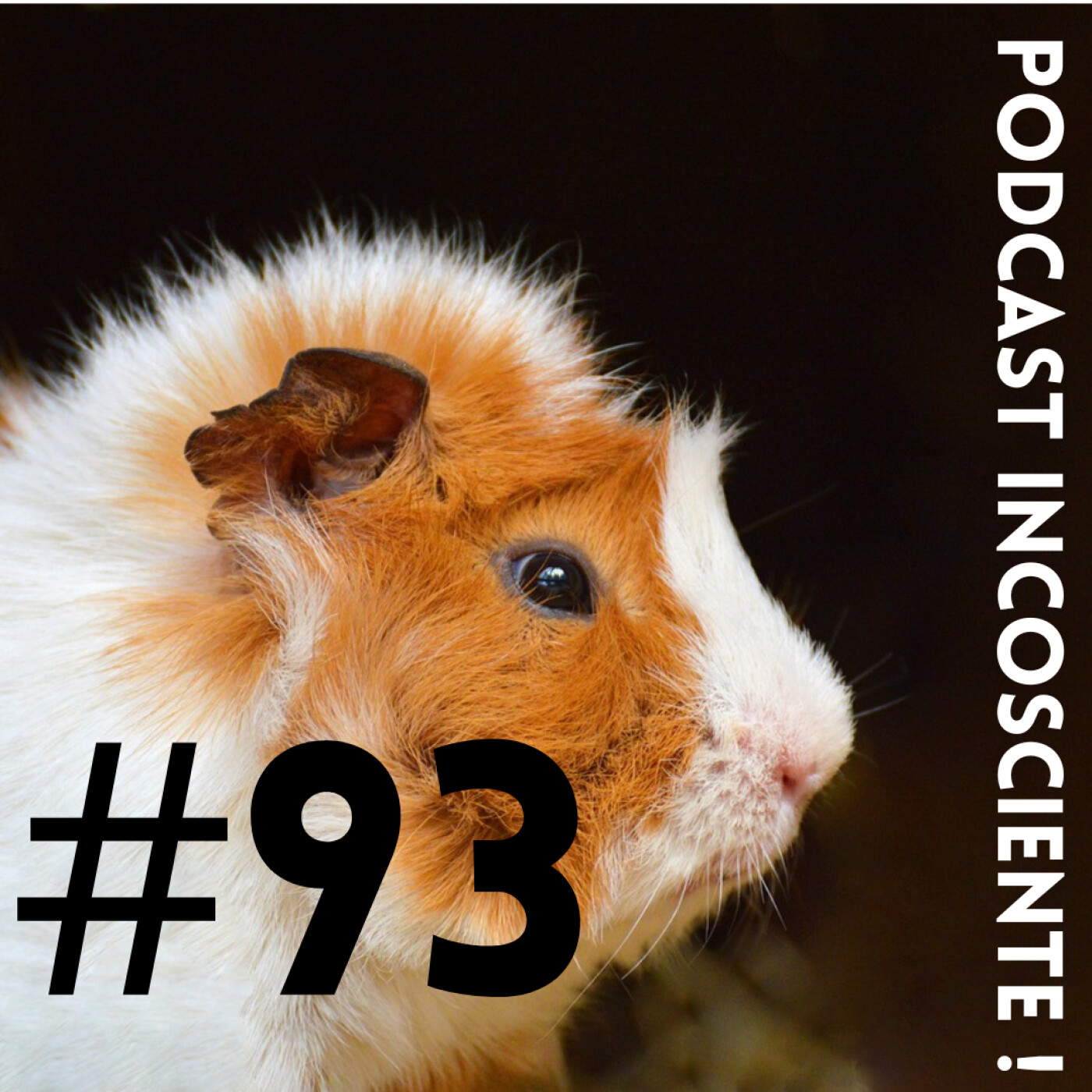 #93 Interprétation Rêve 2