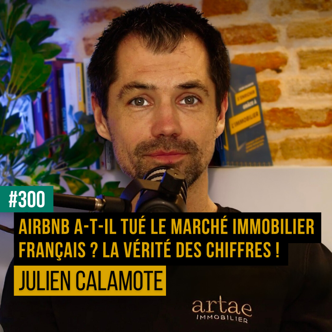 #300 - Airbnb a-t-il tué le marché immobilier français ? La VÉRITÉ des chiffres !