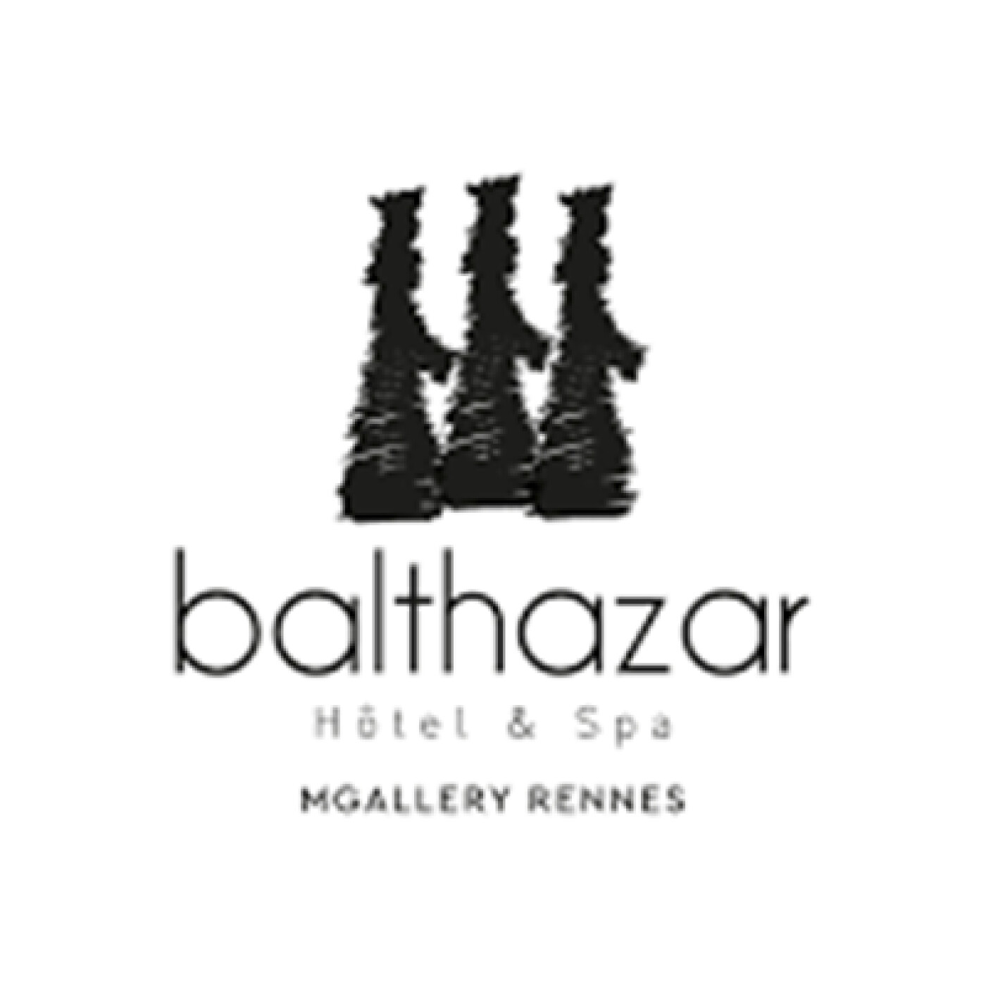 FG MIX INVITE : BALTHAZAR HÔTEL & SPA, RENNES AVEC DÉSIRS DE VOYAGES