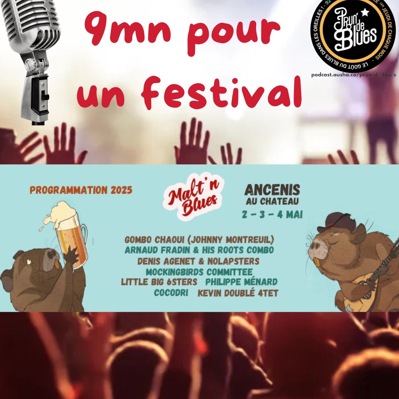 PRUN DE BLUES – FESTIVAL MALT’ n BLUES – INTERVIEW 2025