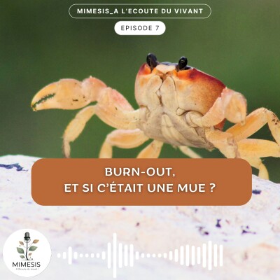 Burn-out, et si c'était une mue ? - Ep.07 cover