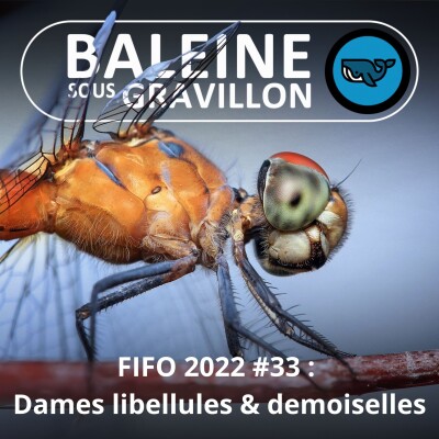FIFO #33 : Libellules ou demoiselle ? (Sébastien Poiret, La Salamandre) cover