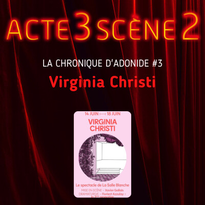 La Chronique d'Adonide 3 : Virginia Christi cover
