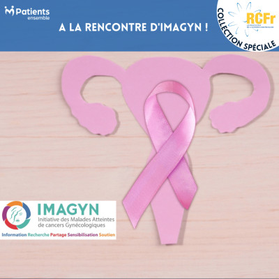Collection Spéciale RCFr : A la rencontre d'Imagyn ! cover