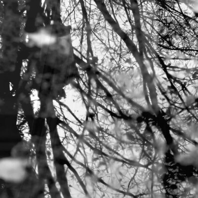 là où je vis - par Caroline cover