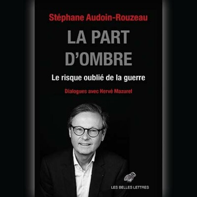 Stéphane Audoin-Rouzeau - La part d'ombre cover