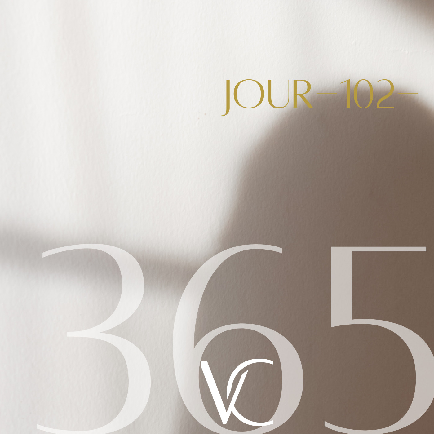 LIVE 365 by Valérie Carchi