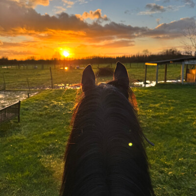 🧘♀️ Mindset • Le perfectionnisme, apprendre à avancer à 7/10 cover
