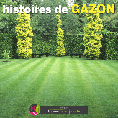 HISTOIRES BOTANIQUES: PETITE ET GRANDE HISTOIRE DU GAZON cover