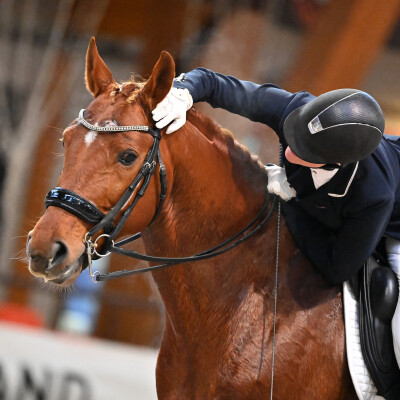🐎 Dressage • L’exercice ne sert pas à l’exercice cover