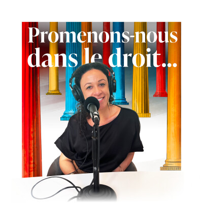 Episode 11 - Promenons-nous avec... Aurore Sauviat [l'IA et le droit d'auteur] cover