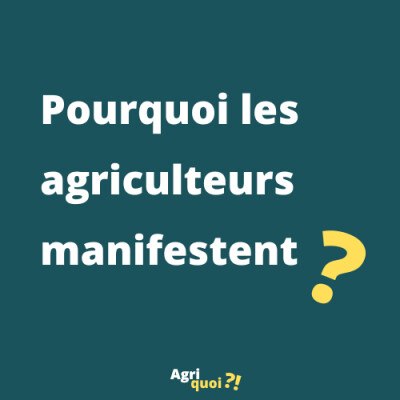 Pourquoi les agriculteurs manifestent ? cover