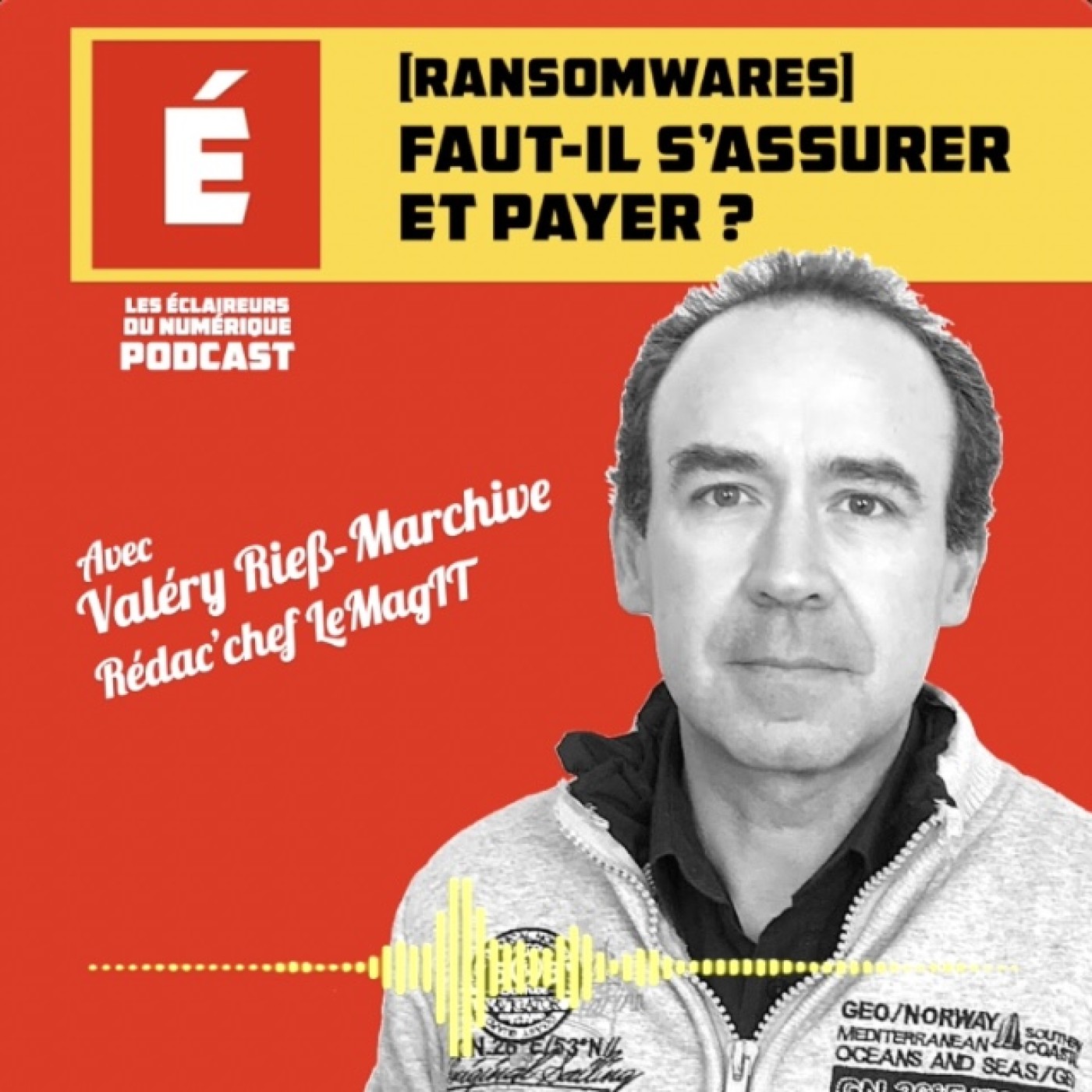 [Ransomwares} Faut-il s'assurer et payer ?