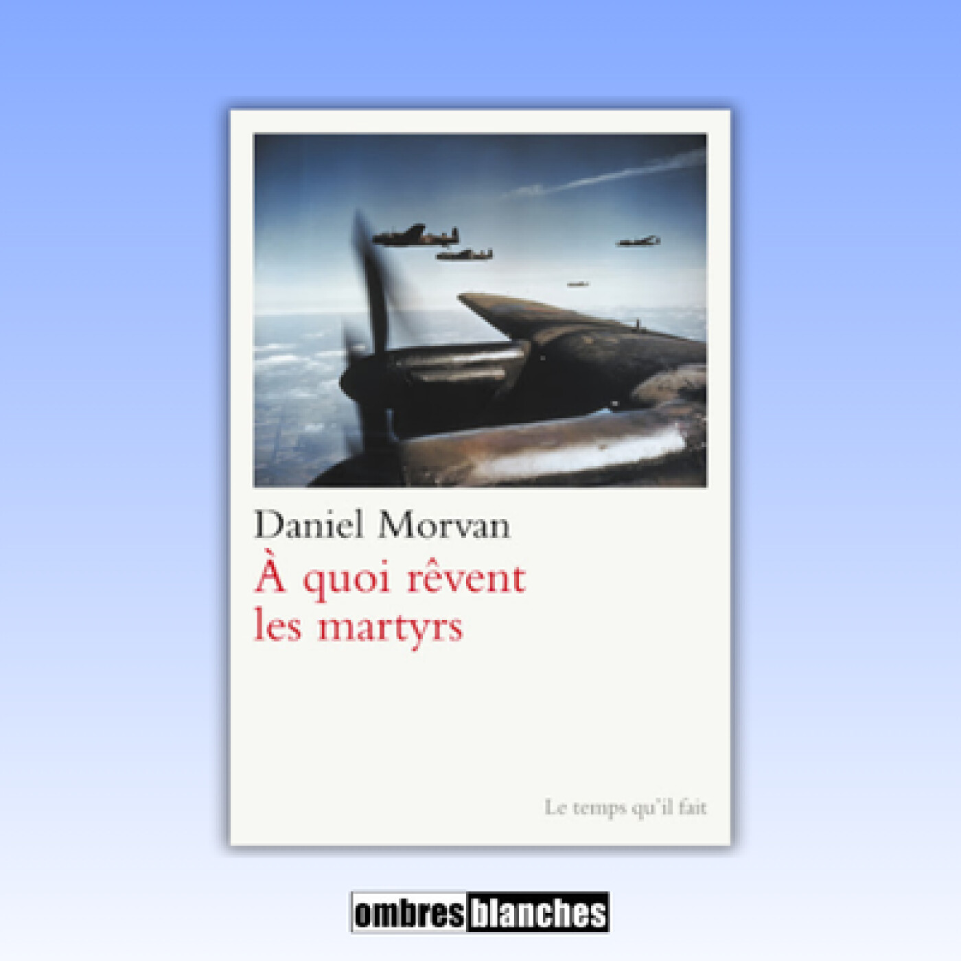 Daniel Morvan → À quoi rêvent les martyrs