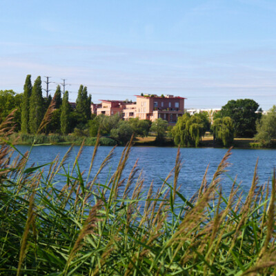 Vivez une balade ornithologique en Île-de-France ! cover