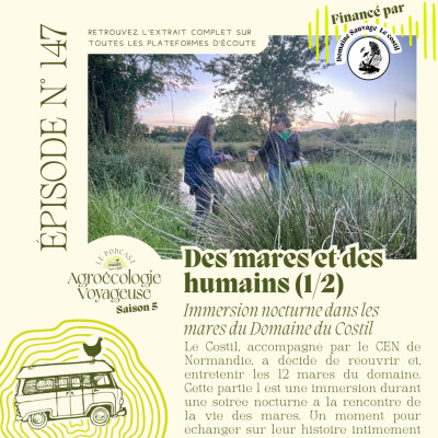 #147 Des Mares et des Humains 💦 Immersion nocturne au domaine du Costil cover