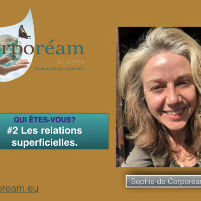Les relations superficielles #2 Qui êtes vous ? cover