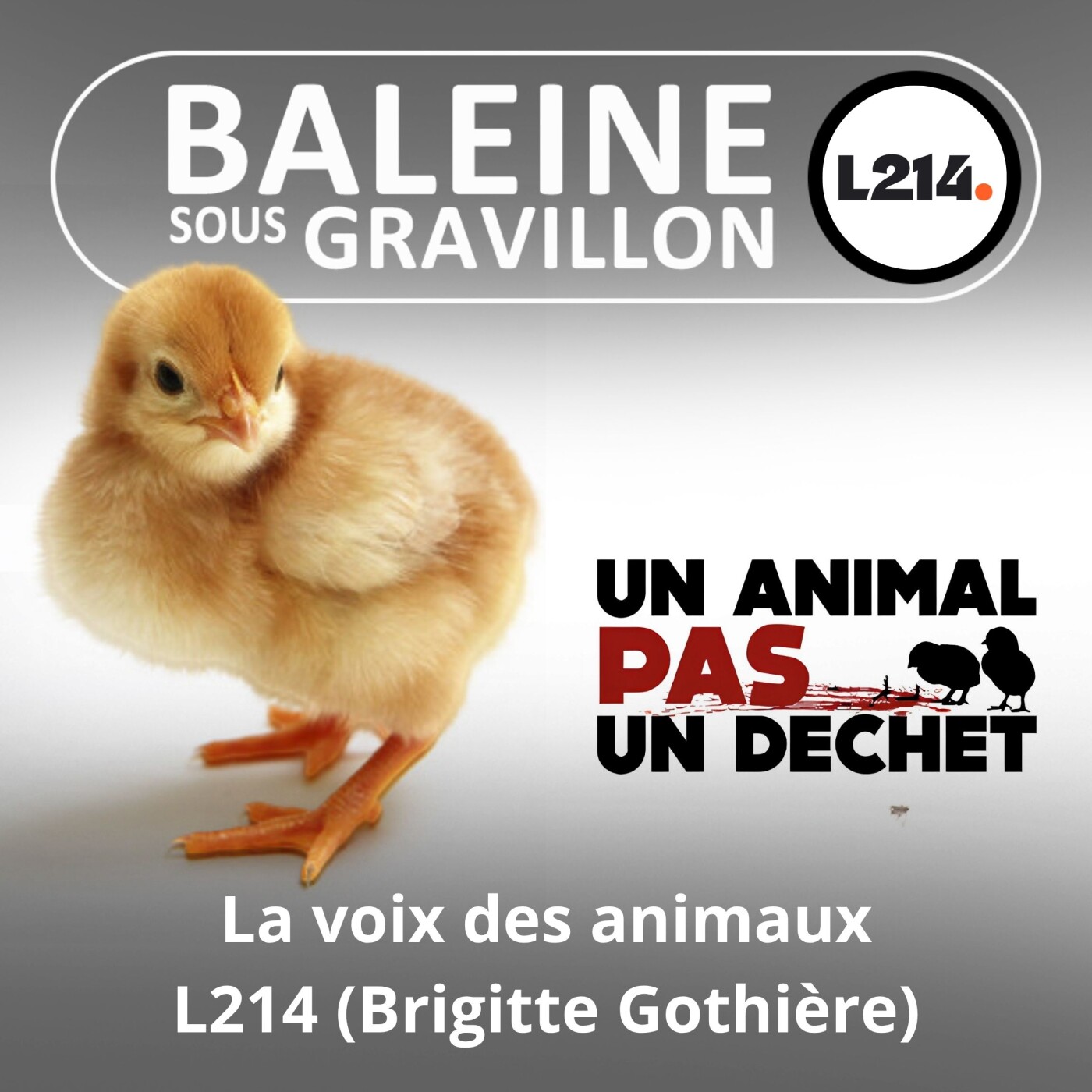 S02E01 La voix et les yeux de la protection animale : L214 (Brigitte Gothière) episode artwork