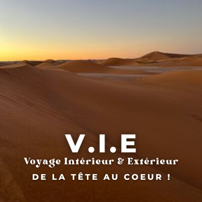 V.I.E - Voyage Intérieur & Extérieur (Diego) cover