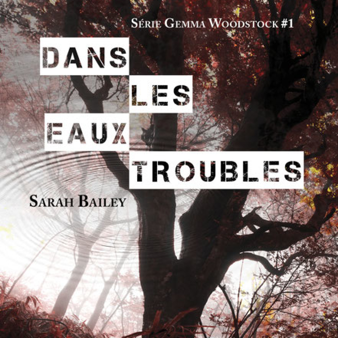 Dans les eaux troubles de Sarah Bailey, le renouveau du polar Australien. Un certain goût pour le noir #113