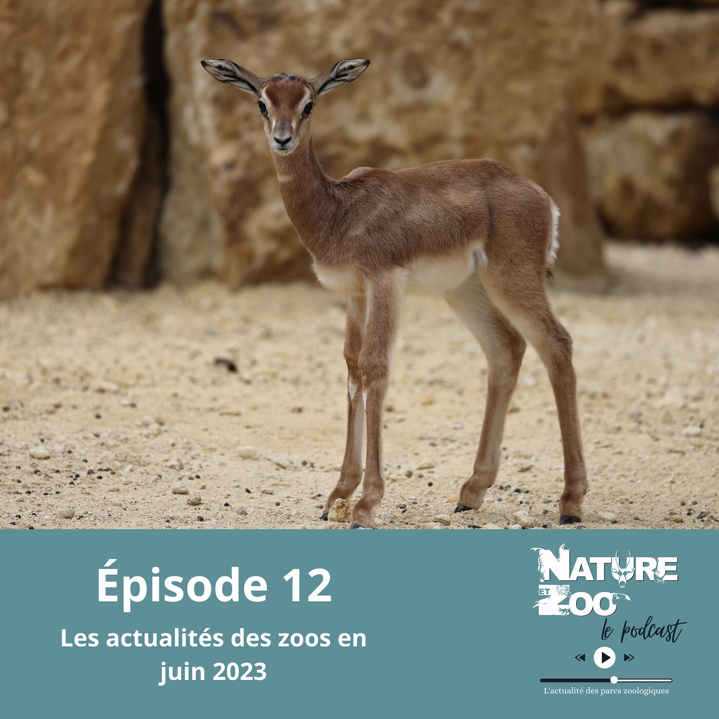Épisode 12 (ACTU) - Les actualités en juin 2023 episode artwork