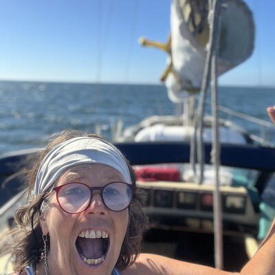 Journal de bord de la traversée du Pacifique : du Seno Reloncavi à l'île Robinson Crusoe cover