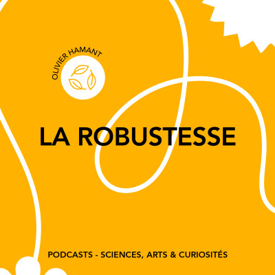 [Trailer] Épisode 125 - La robustesse cover