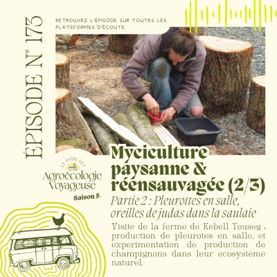 #173 Kebell Touseg 🌳 Ferme Mycicole Paysanne & Réensauvagée (2/3) Chaque champi dans son écosystème cover