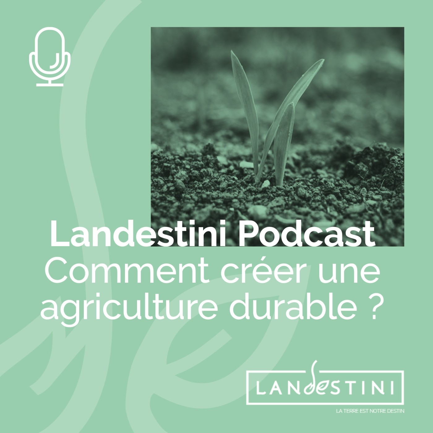 LanDestini Podcast