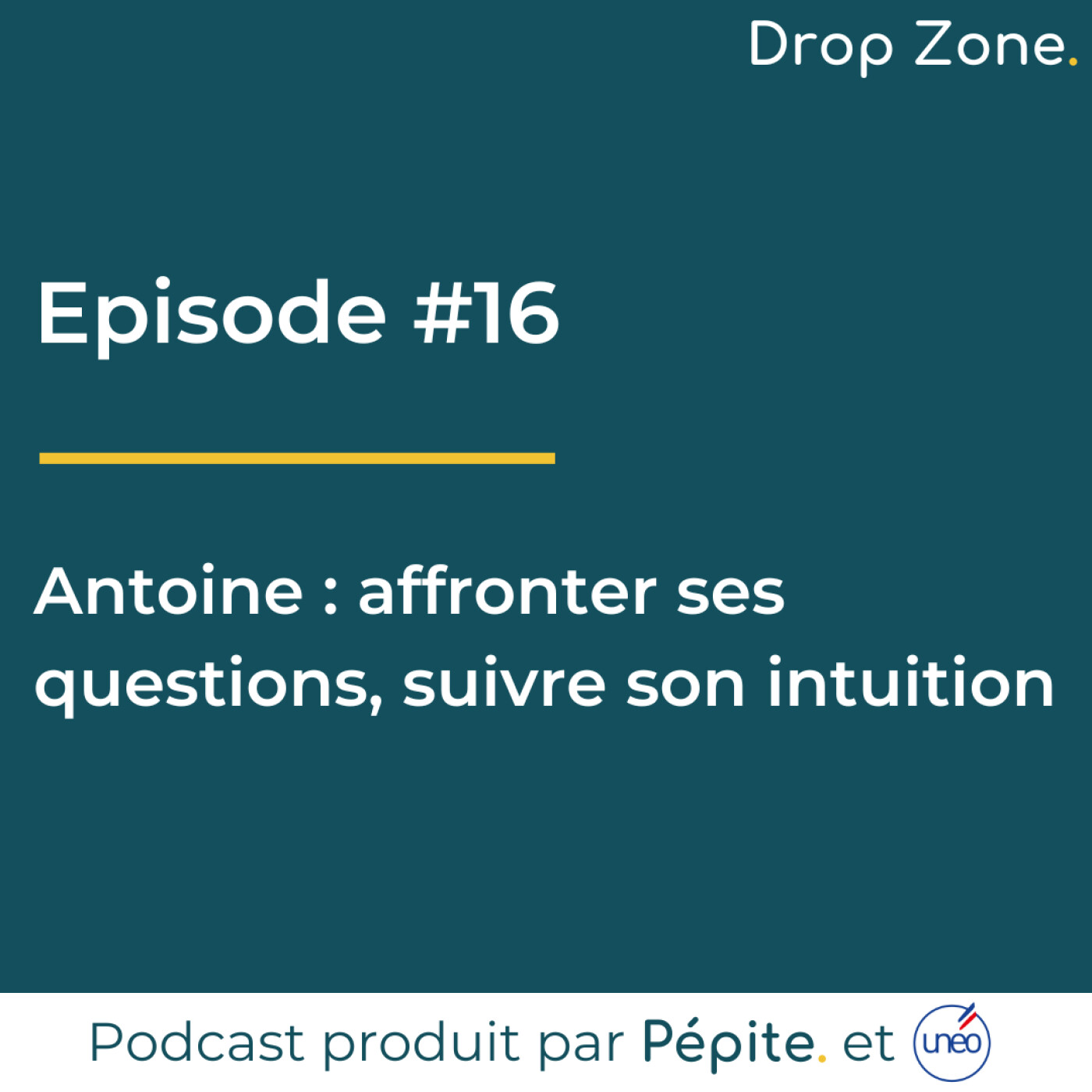 Drop Zone [Pépite. x Unéo]