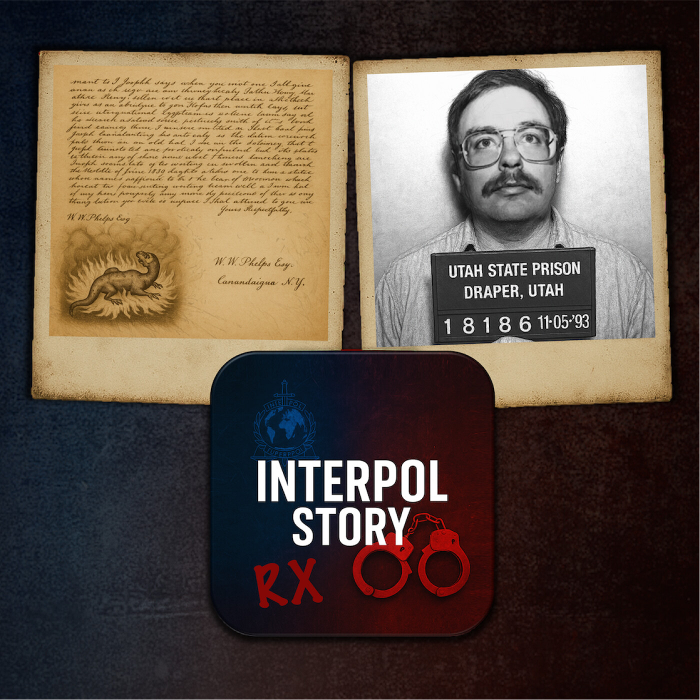 Interpol Story