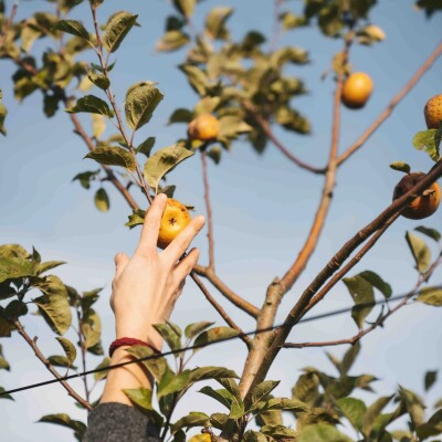 Découverte du restaurant Paysages à Bellême ! cover