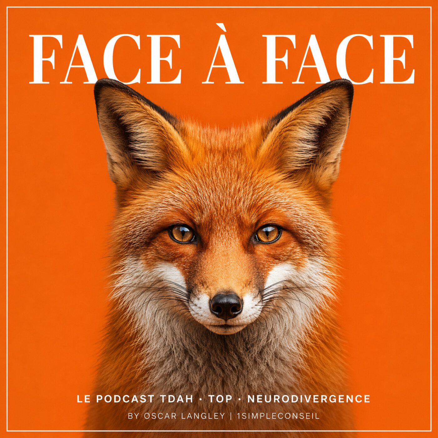 Face à Face : Le podcast TDAH, TOP et neurodivergence by Oscar Langley | 1Simpleconseil podcast artwork