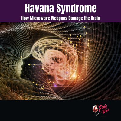 Havana Syndrome & the Physics of Silence: How Microwave Weapons Damage the Brain (FULL EPISODE) cover