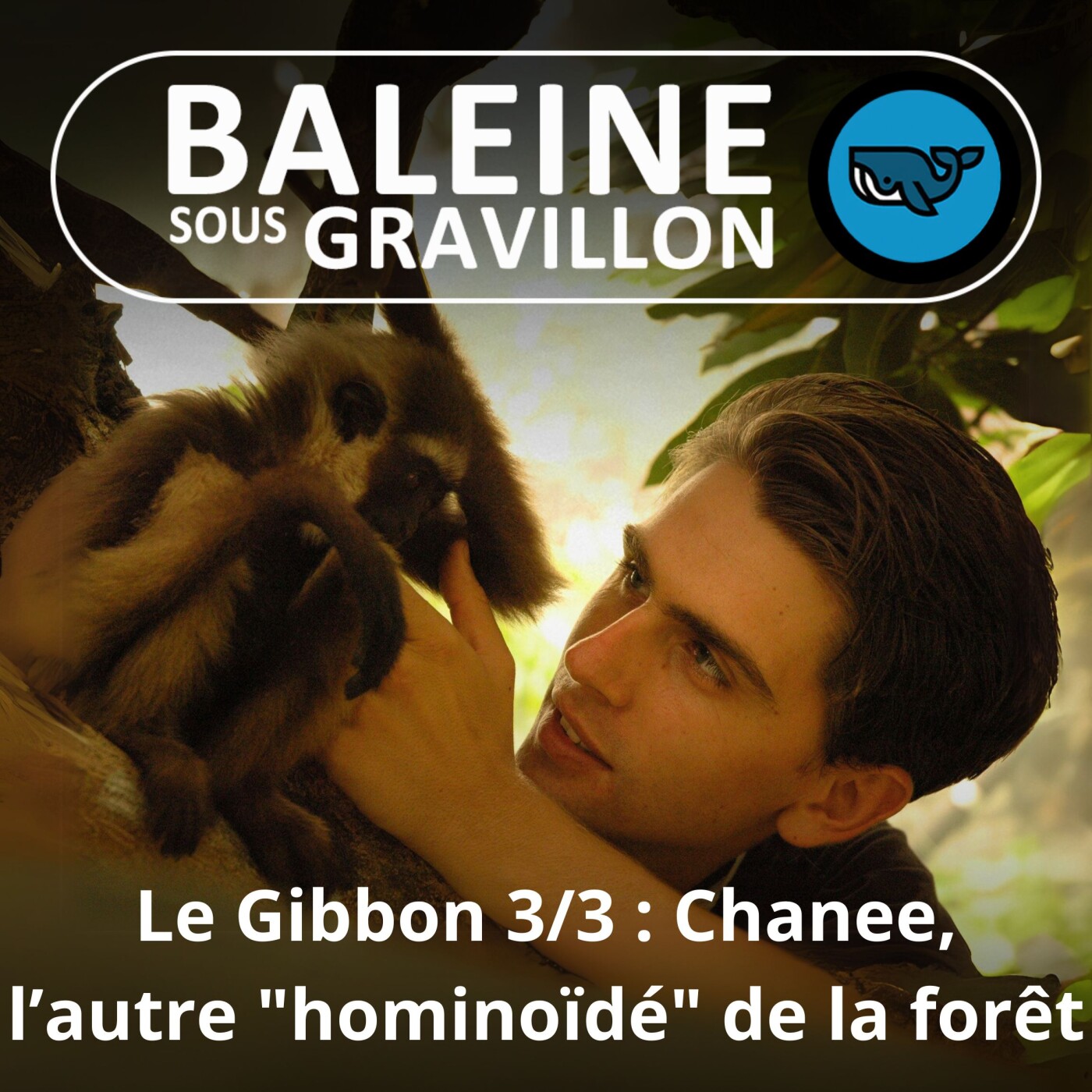 Baleine sous Gravillon