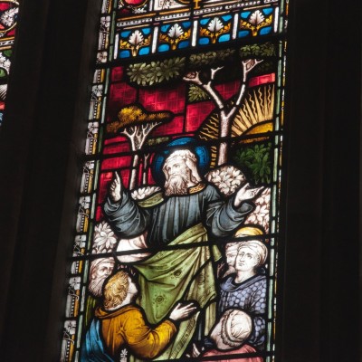 What the Bible says about New Testament Apostleship. cover