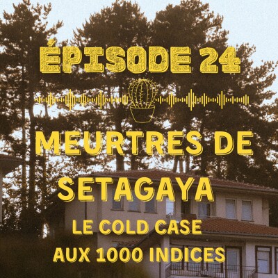 Meurtres de Setagaya : le cold case aux 1000 indices... cover