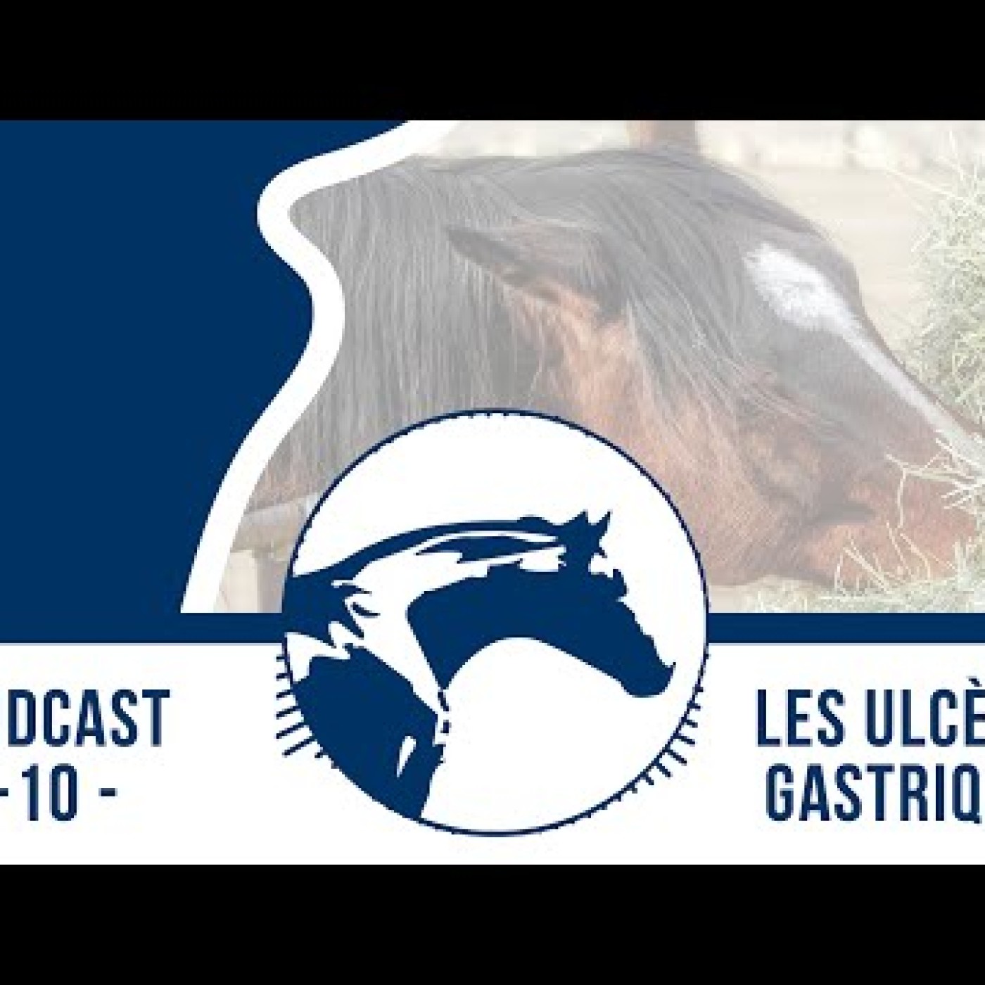 Podcasts vétos Reverdy Nutrition Équine 🎙