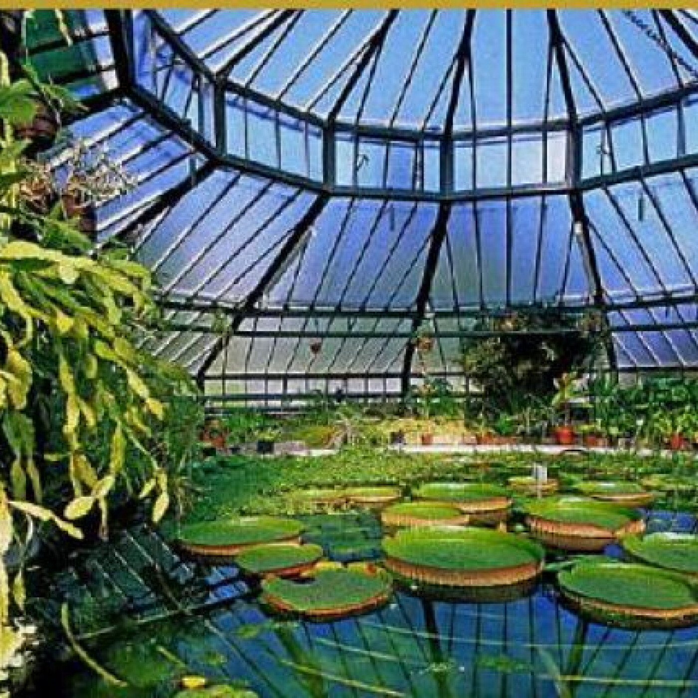 Replay - Sanef 107.7 - 2024/2025