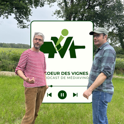 Bretagne I La vigne de la Ria I De la Champagne à la Bretagne : l'appel du large (Extrait) cover