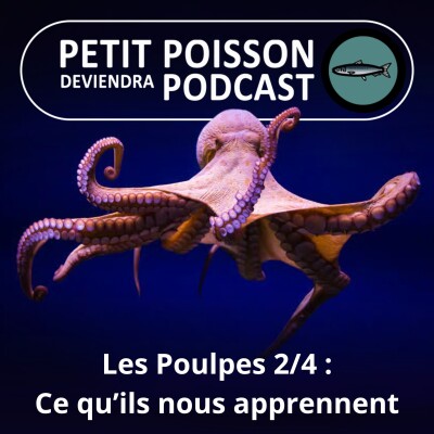 S02E10 Le Poulpe 2/4 : Ce qu'ils nous apprennent sur nous même, dans deux docus légendaires... cover