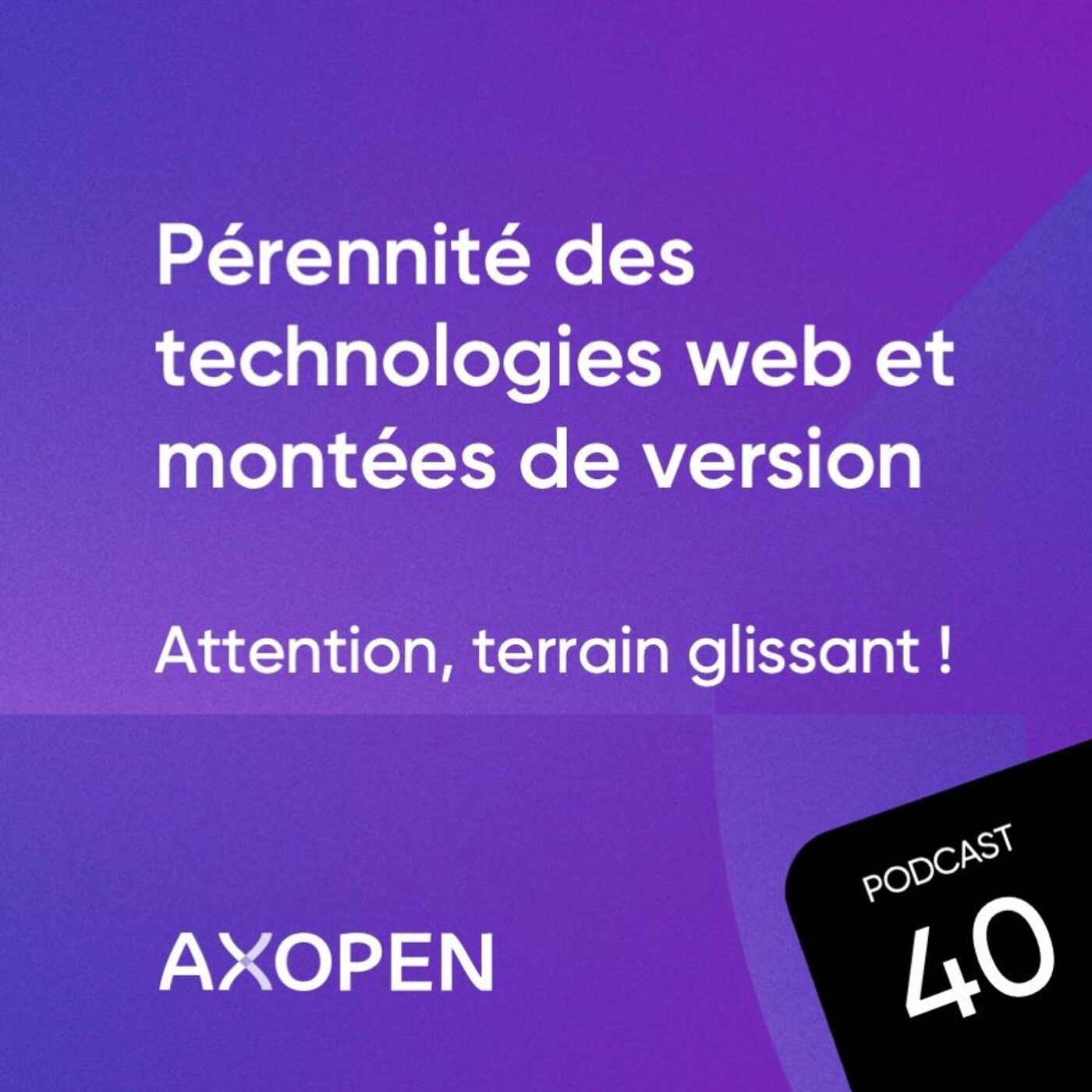 Pérennité des technologies web & montées de version : attention, terrain glissant !