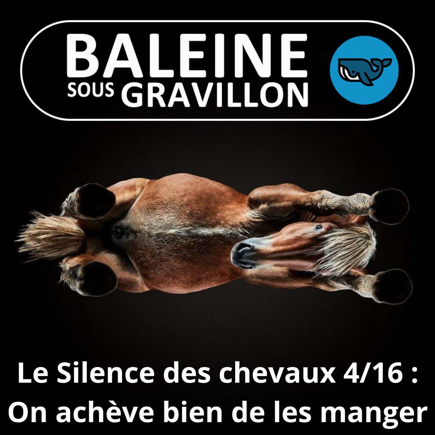 S06E38 Le Silence des chevaux 4/16 : On achève bien... de les manger ?