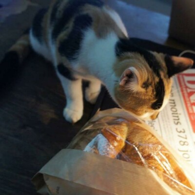 20 ans, 20 portraits, 20 minutes - Ingrid Boudin cover