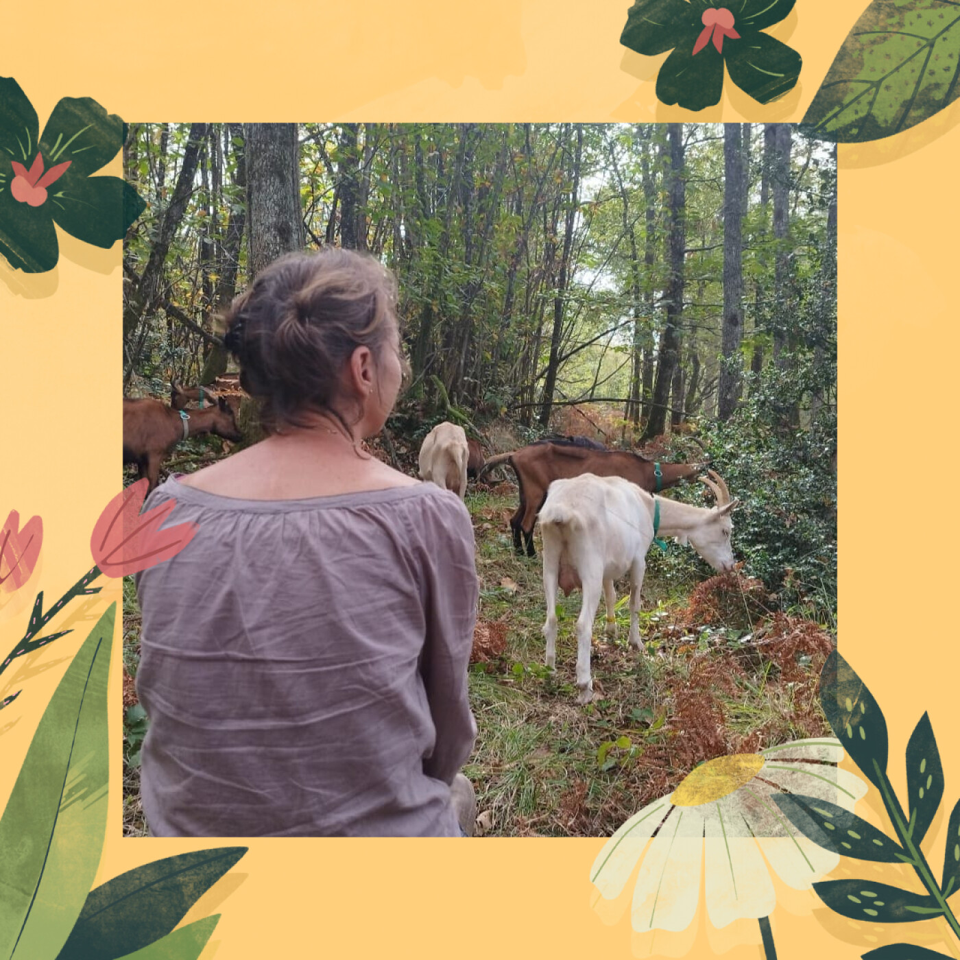 Les Nouvelles filles de la Campagne.