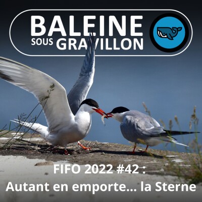 Show cover