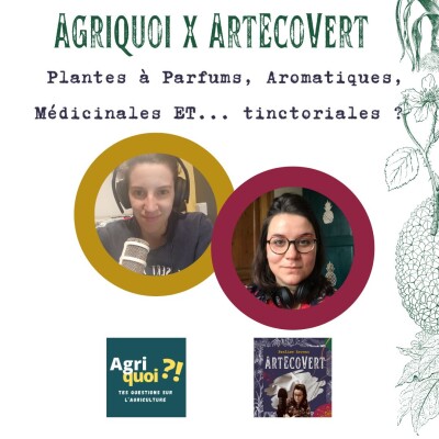 Herbes aromatiques, tisanes ou cosmétiques...comment sont produites les plantes que vous consommez ? cover