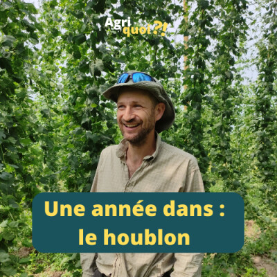 Une année dans : le houblon cover