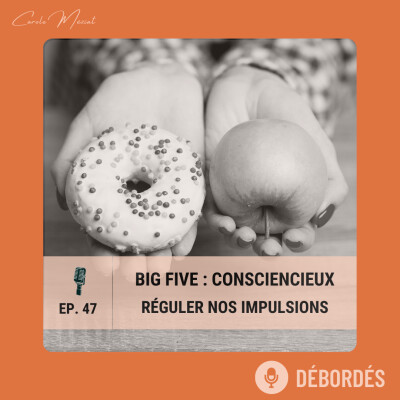46. Big Five - Dimension 5/5 : Caractère Consciencieux - Réguler nos impulsions pour nos objectifs longs termes | Thématique #10 cover