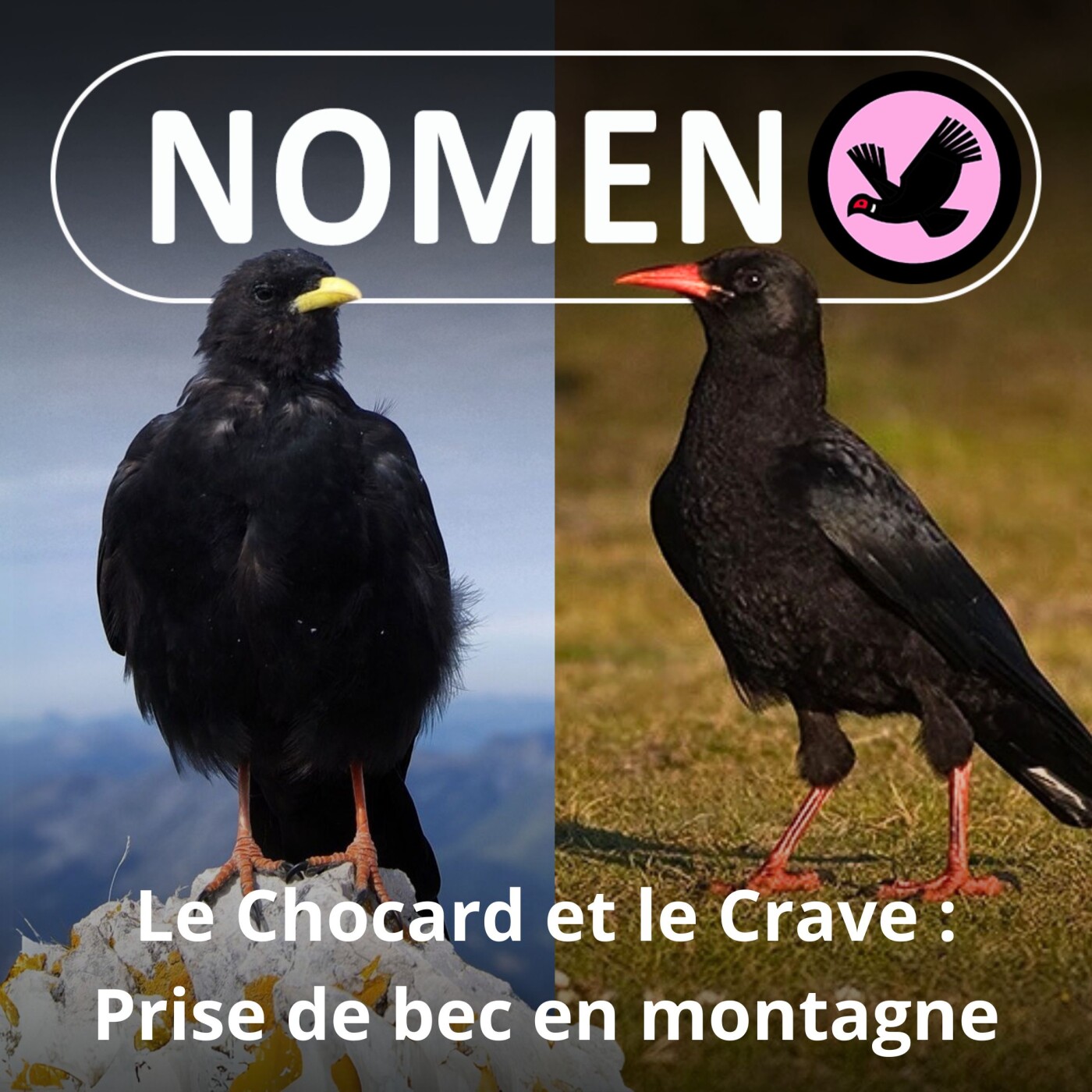 Nomen